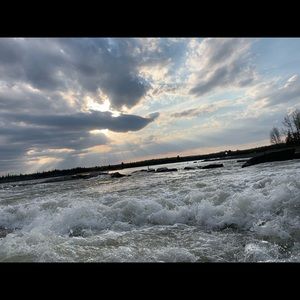 Meet your Posher, Elese